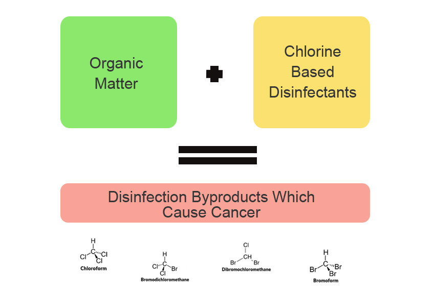 Disinfection Byproducts